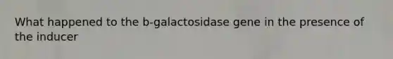 What happened to the b-galactosidase gene in the presence of the inducer