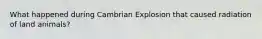 What happened during Cambrian Explosion that caused radiation of land animals?