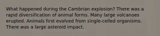 What happened during the Cambrian explosion? There was a rapid diversification of animal forms. Many large volcanoes erupted. Animals first evolved from single-celled organisms. There was a large asteroid impact.