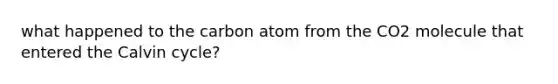 what happened to the carbon atom from the CO2 molecule that entered the Calvin cycle?