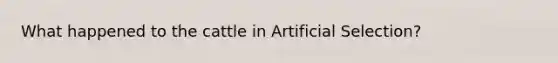 What happened to the cattle in Artificial Selection?