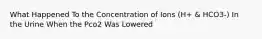 What Happened To the Concentration of Ions (H+ & HCO3-) In the Urine When the Pco2 Was Lowered