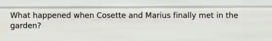 What happened when Cosette and Marius finally met in the garden?