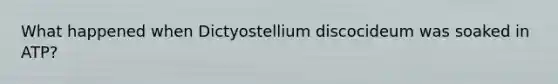 What happened when Dictyostellium discocideum was soaked in ATP?