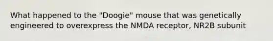 What happened to the "Doogie" mouse that was genetically engineered to overexpress the NMDA receptor, NR2B subunit