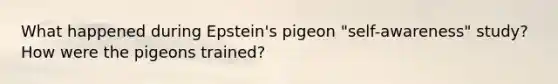 What happened during Epstein's pigeon "self-awareness" study? How were the pigeons trained?