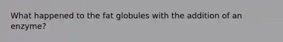 What happened to the fat globules with the addition of an enzyme?