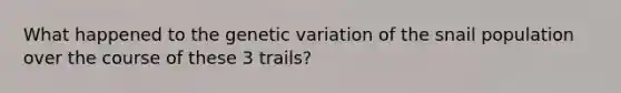 What happened to the genetic variation of the snail population over the course of these 3 trails?