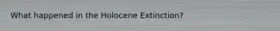 What happened in the Holocene Extinction?