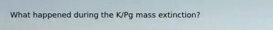 What happened during the K/Pg mass extinction?
