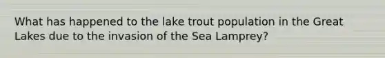 What has happened to the lake trout population in the Great Lakes due to the invasion of the Sea Lamprey?