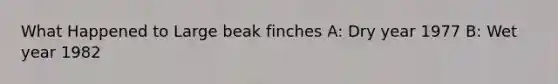 What Happened to Large beak finches A: Dry year 1977 B: Wet year 1982