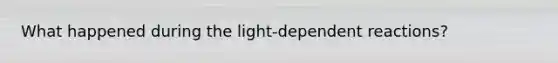 What happened during the light-dependent reactions?