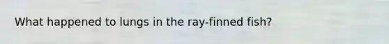 What happened to lungs in the ray-finned fish?