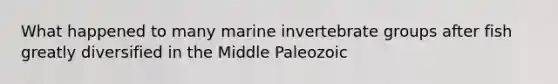 What happened to many marine invertebrate groups after fish greatly diversified in the Middle Paleozoic