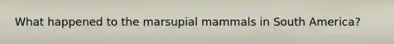 What happened to the marsupial mammals in South America?