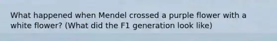 What happened when Mendel crossed a purple flower with a white flower? (What did the F1 generation look like)