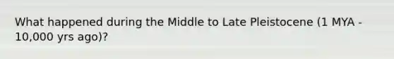 What happened during the Middle to Late Pleistocene (1 MYA - 10,000 yrs ago)?