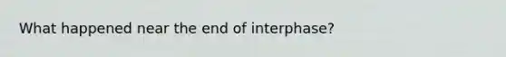 What happened near the end of interphase?