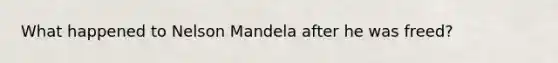 What happened to Nelson Mandela after he was freed?