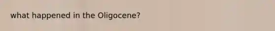 what happened in the Oligocene?