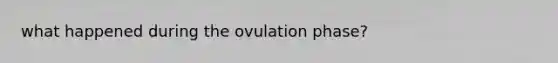 what happened during the ovulation phase?