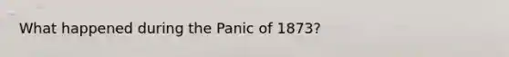 What happened during the Panic of 1873?