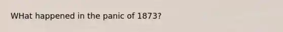 WHat happened in the panic of 1873?