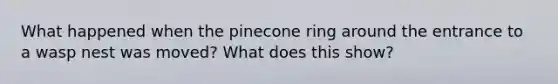 What happened when the pinecone ring around the entrance to a wasp nest was moved? What does this show?