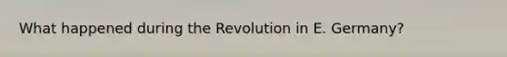 What happened during the Revolution in E. Germany?