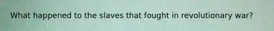 What happened to the slaves that fought in revolutionary war?