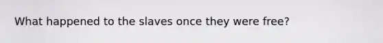 What happened to the slaves once they were free?