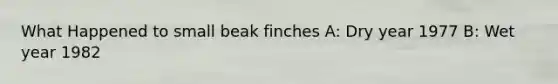 What Happened to small beak finches A: Dry year 1977 B: Wet year 1982