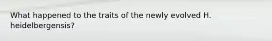 What happened to the traits of the newly evolved H. heidelbergensis?