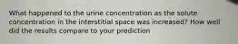 What happened to the urine concentration as the solute concentration in the interstitial space was increased? How well did the results compare to your prediction