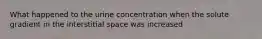 What happened to the urine concentration when the solute gradient in the interstitial space was increased