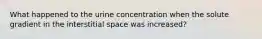 What happened to the urine concentration when the solute gradient in the interstitial space was increased?