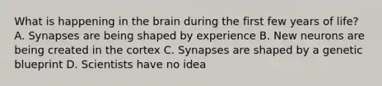 What is happening in the brain during the first few years of life? A. Synapses are being shaped by experience B. New neurons are being created in the cortex C. Synapses are shaped by a genetic blueprint D. Scientists have no idea