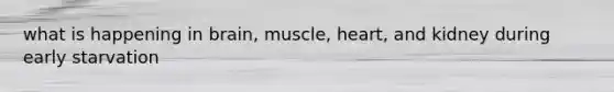 what is happening in brain, muscle, heart, and kidney during early starvation