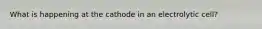 What is happening at the cathode in an electrolytic cell?