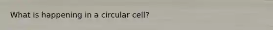 What is happening in a circular cell?