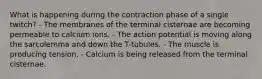 What is happening during the contraction phase of a single twitch? - The membranes of the terminal cisternae are becoming permeable to calcium ions. - The action potential is moving along the sarcolemma and down the T-tubules. - The muscle is producing tension. - Calcium is being released from the terminal cisternae.