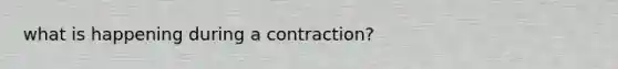 what is happening during a contraction?