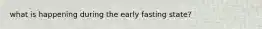 what is happening during the early fasting state?