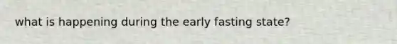 what is happening during the early fasting state?