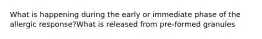 What is happening during the early or immediate phase of the allergic response?What is released from pre-formed granules