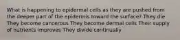 What is happening to epidermal cells as they are pushed from the deeper part of the epidermis toward the surface? They die They become cancerous They become dermal cells Their supply of nutrients improves They divide continually