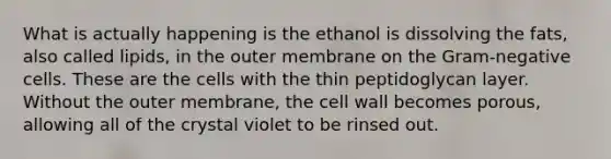 What is actually happening is the ethanol is dissolving the fats, also called lipids, in the outer membrane on the Gram-negative cells. These are the cells with the thin peptidoglycan layer. Without the outer membrane, the cell wall becomes porous, allowing all of the crystal violet to be rinsed out.