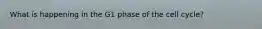 What is happening in the G1 phase of the cell cycle?