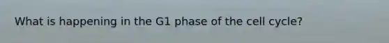 What is happening in the G1 phase of the cell cycle?